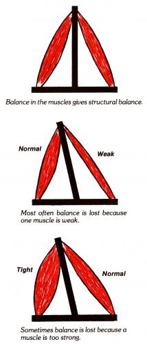 Balance Illustration